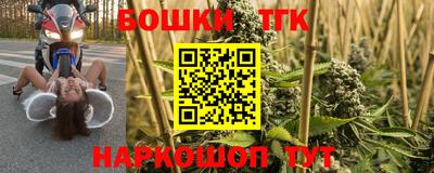 ешки Партизанск