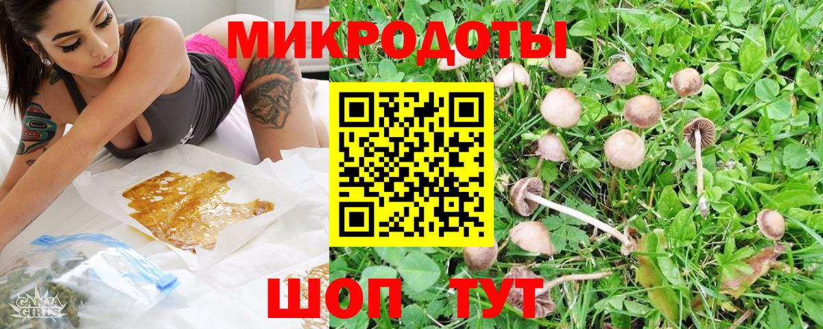 Галлюциногенные грибы Cubensis Сызрань