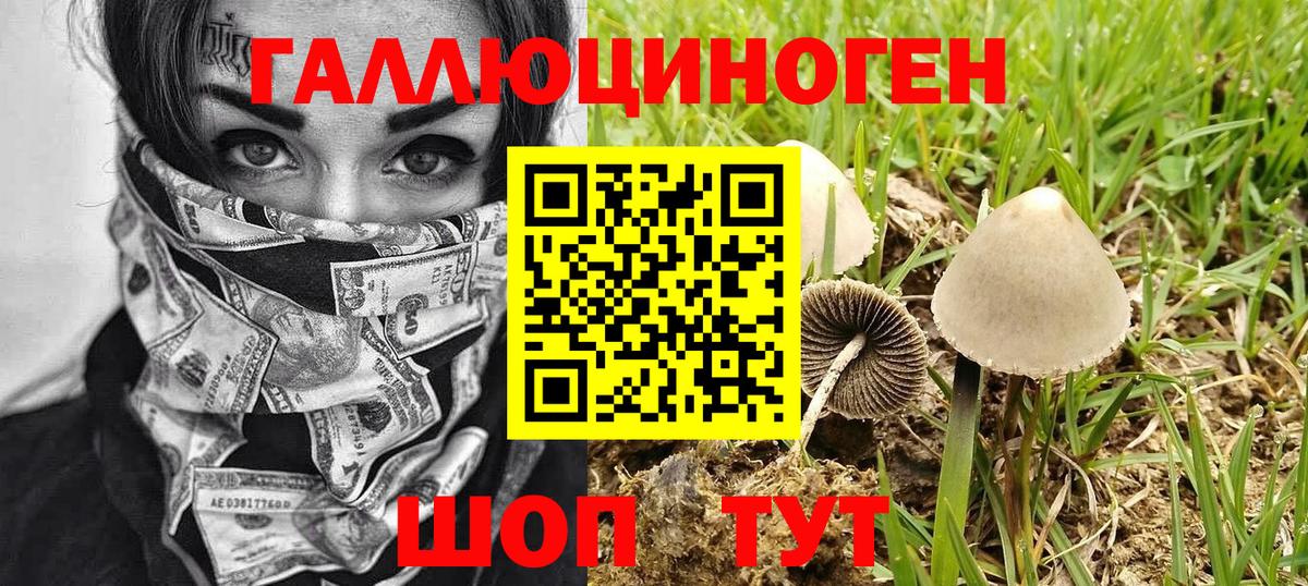 Псилоцибиновые грибы Psilocybe  Псилоцибиновые грибы мухоморы  наркотики  Сызрань  Вход с VPN 